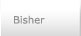 Bisher
